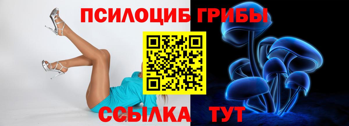 Галлюциногенные грибы Psilocybe  Псилоцибиновые грибы Psilocybine cubensis  купить закладку  Вход с VPN  Шумерля 